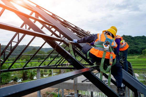 Best Roof Restoration Services  in Northview, MI